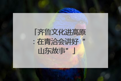 齐鲁文化进高原：在青洽会讲好“山东故事”