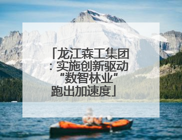 龙江森工集团：实施创新驱动 “数智林业”跑出加速度