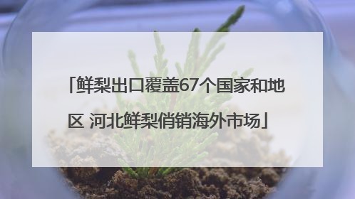 鲜梨出口覆盖67个国家和地区 河北鲜梨俏销海外市场