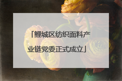 鲤城区纺织面料产业链党委正式成立