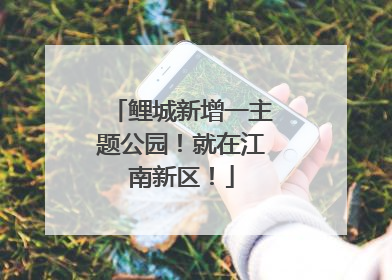 鲤城新增一主题公园！就在江南新区！