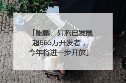 鲲鹏、昇腾已发展超665万开发者，今年将进一步开放