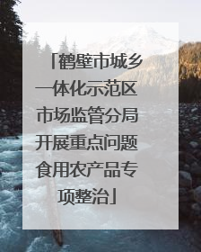 鹤壁市城乡一体化示范区市场监管分局开展重点问题食用农产品专项整治