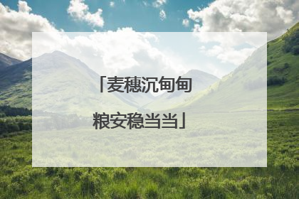 麦穗沉甸甸 粮安稳当当