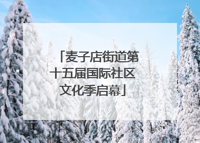 麦子店街道第十五届国际社区文化季启幕