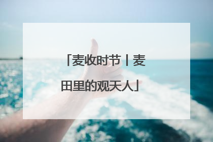 麦收时节丨麦田里的观天人