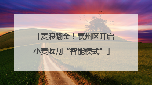 麦浪翻金！襄州区开启小麦收割“智能模式”