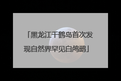 黑龙江千鹤岛首次发现自然界罕见白鸬鹚