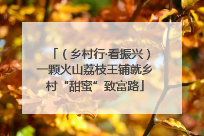 （乡村行·看振兴）一颗火山荔枝王铺就乡村“甜蜜”致富路
