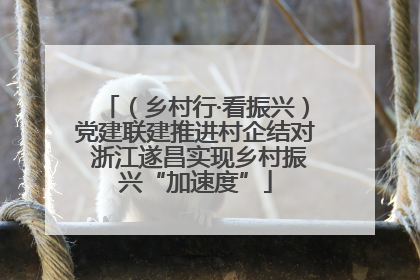 （乡村行·看振兴）党建联建推进村企结对 浙江遂昌实现乡村振兴“加速度”
