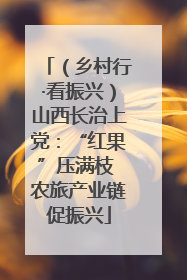 （乡村行·看振兴）山西长治上党：“红果”压满枝 农旅产业链促振兴