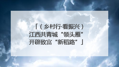 （乡村行·看振兴）江西共青城“领头雁”开辟致富“新稻路”