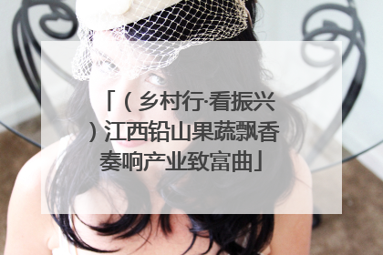 （乡村行·看振兴）江西铅山果蔬飘香 奏响产业致富曲