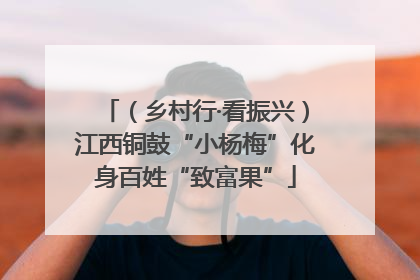 （乡村行·看振兴）江西铜鼓“小杨梅”化身百姓“致富果”
