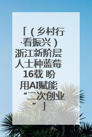 （乡村行·看振兴）浙江新阶层人士种蓝莓16载 盼用AI赋能“二次创业”