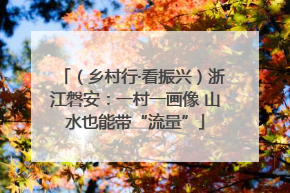 （乡村行·看振兴）浙江磐安：一村一画像 山水也能带“流量”