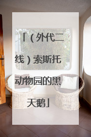 （外代二线）索斯托动物园的黑天鹅