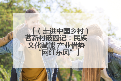 （走进中国乡村）茗新村破圈记：民族文化赋能 产业借势 “网红东风”