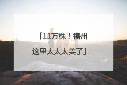 11万株！福州这里太太太美了