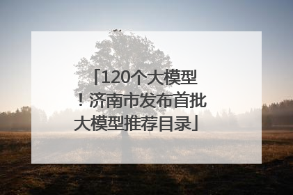 120个大模型！济南市发布首批大模型推荐目录