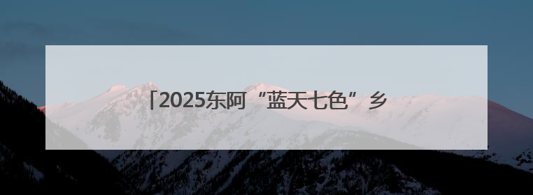 2025东阿“蓝天七色”乡村振兴职工黄河微马激情开跑