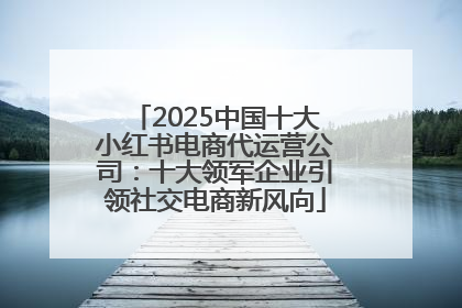 2025中国十大小红书电商代运营公司：十大领军企业引领社交电商新风向