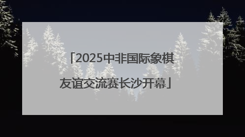 2025中非国际象棋友谊交流赛长沙开幕