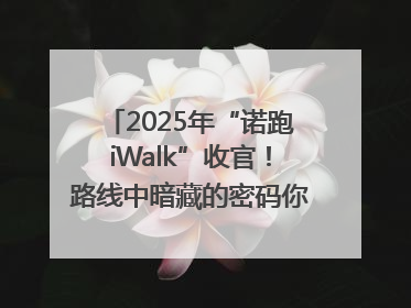 2025年“诺跑iWalk”收官！路线中暗藏的密码你发现了吗？