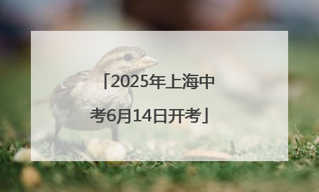 2025年上海中考6月14日开考