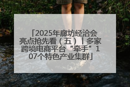 2025年廊坊经洽会亮点抢先看（五）丨多家跨境电商平台“牵手”107个特色产业集群