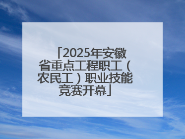 2025年安徽省重点工程职工（农民工）职业技能竞赛开幕