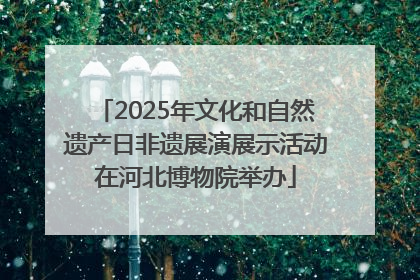 2025年文化和自然遗产日非遗展演展示活动在河北博物院举办