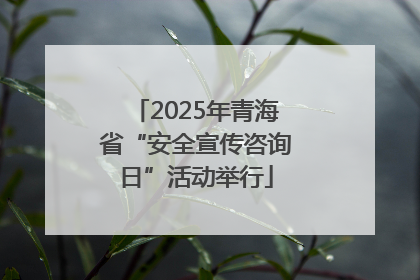 2025年青海省“安全宣传咨询日”活动举行