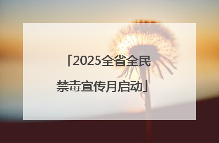 2025全省全民禁毒宣传月启动