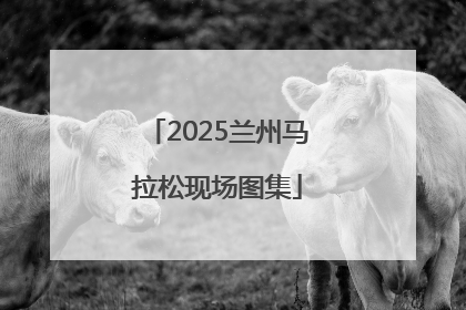 2025兰州马拉松现场图集