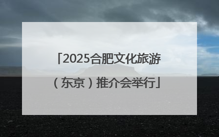 2025合肥文化旅游（东京）推介会举行