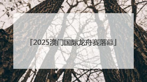 2025澳门国际龙舟赛落幕
