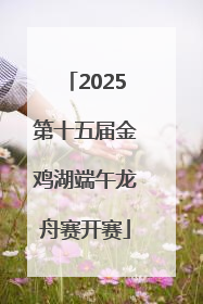 2025第十五届金鸡湖端午龙舟赛开赛