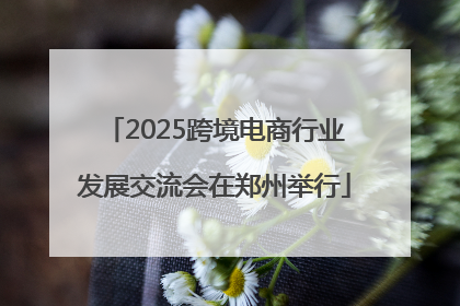 2025跨境电商行业发展交流会在郑州举行