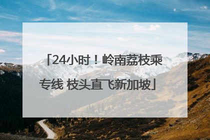 24小时！岭南荔枝乘专线 枝头直飞新加坡