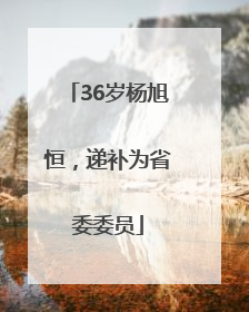 36岁杨旭恒，递补为省委委员