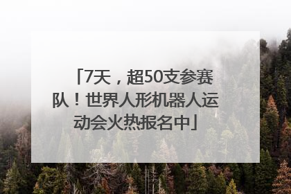 7天，超50支参赛队！世界人形机器人运动会火热报名中
