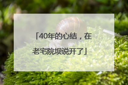 40年的心结，在老宅院坝说开了
