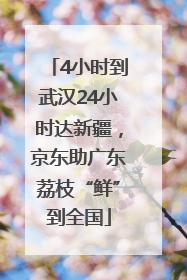 4小时到武汉24小时达新疆，京东助广东荔枝“鲜”到全国