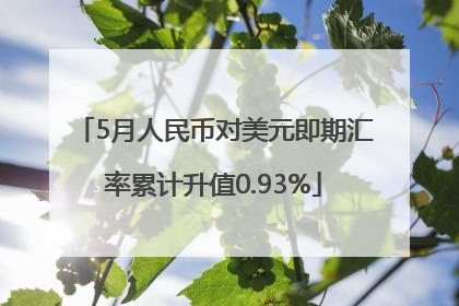 5月人民币对美元即期汇率累计升值0.93%