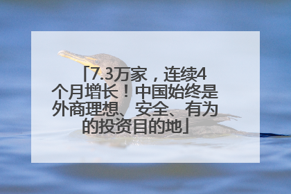 7.3万家，连续4个月增长！中国始终是外商理想、安全、有为的投资目的地