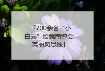 700余名“小白云”绘就南博会亮丽风景线