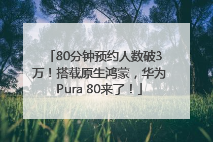80分钟预约人数破3万！搭载原生鸿蒙，华为Pura 80来了！