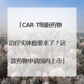 CAR-T细胞药物治疗实体瘤要来了？这款药物申请国内上市