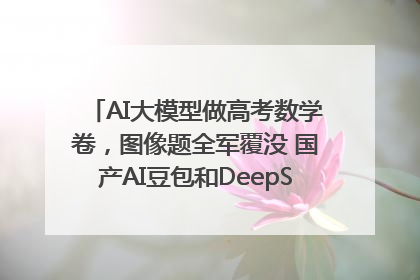 AI大模型做高考数学卷，图像题全军覆没 国产AI豆包和DeepSeek均得分144